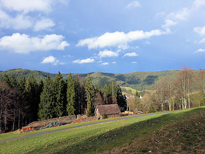Schwarzwald-Landschaft